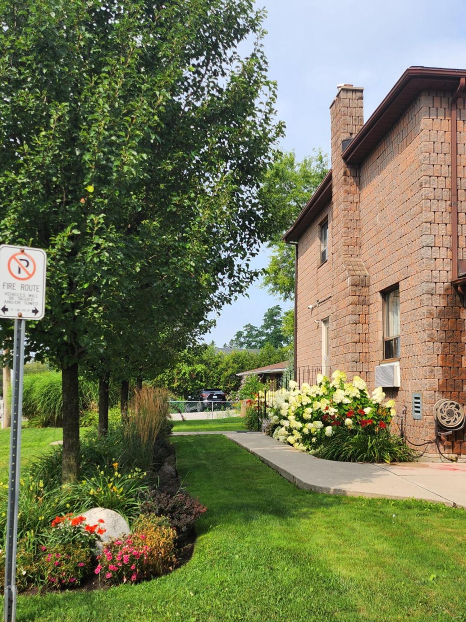 Canadas Best Value Inn-Richmond Hill Exterior foto